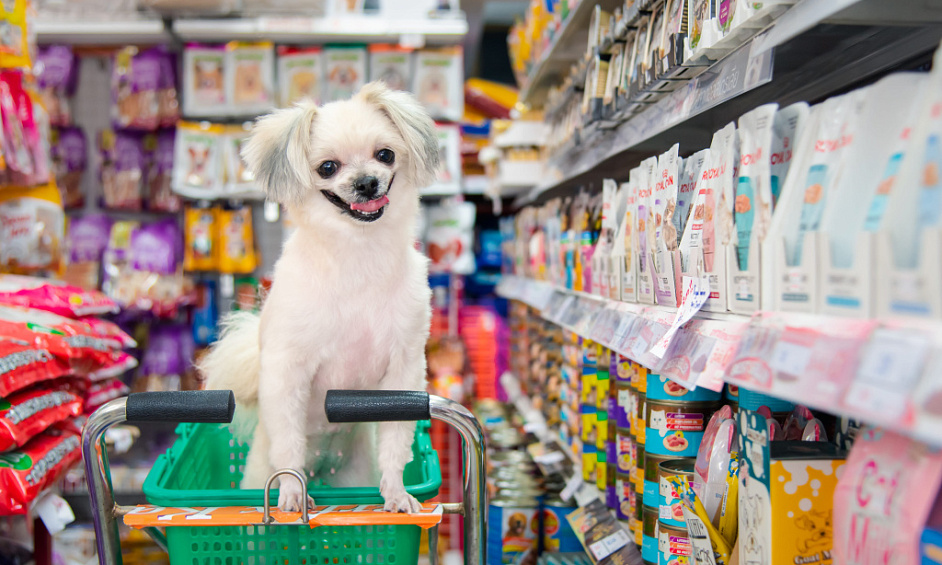 North Edmonton Pet Retail Franchise Location For Sale 1 North Edmonton Pet Retail Franchise Location For Sale 1