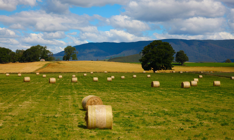 Rare Opportunity: 9+ Acres In Desirable Blackburn Area For Sale 1