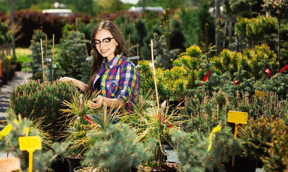 29 Year Garden Centre, Landscaping and Installation Business For Sale 1