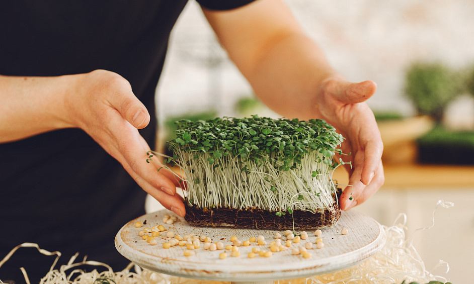 Calgary Micro Farm Business For Sale 1