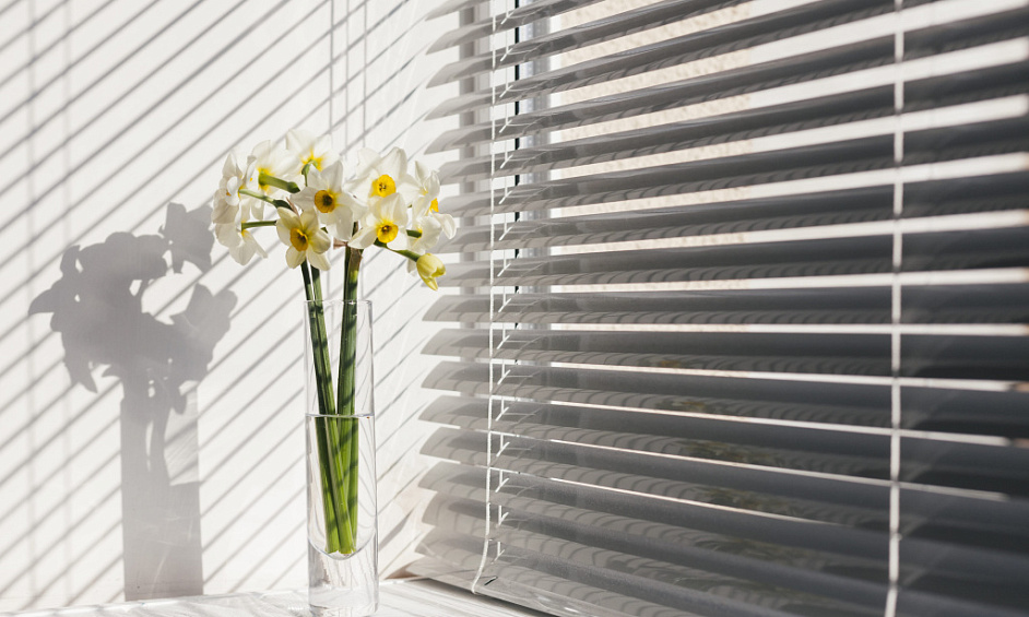 Popular Window Blinds & Shutters Business For Sale 1