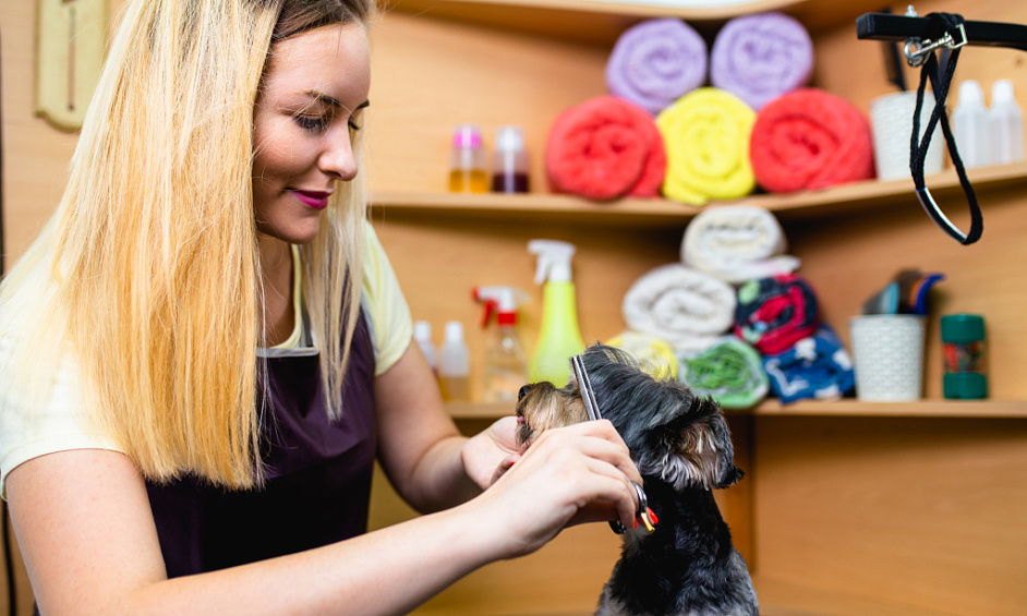 Profitable Pet Specialty With Grooming - Calgary For Sale 1
