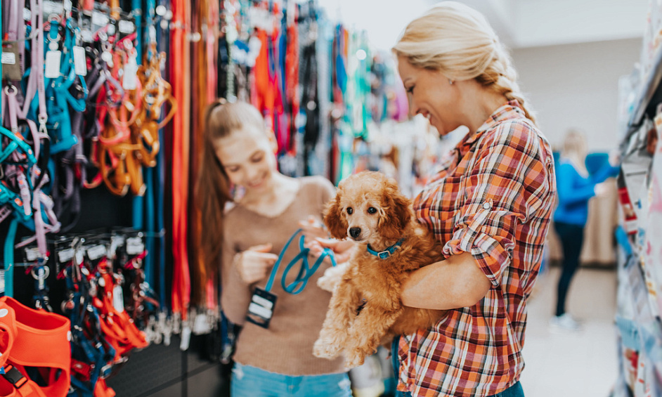 Pet Retail Business In Calgary South For Sale 1