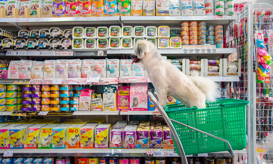 Pet Food & Supply Store In Langley For Sale 1