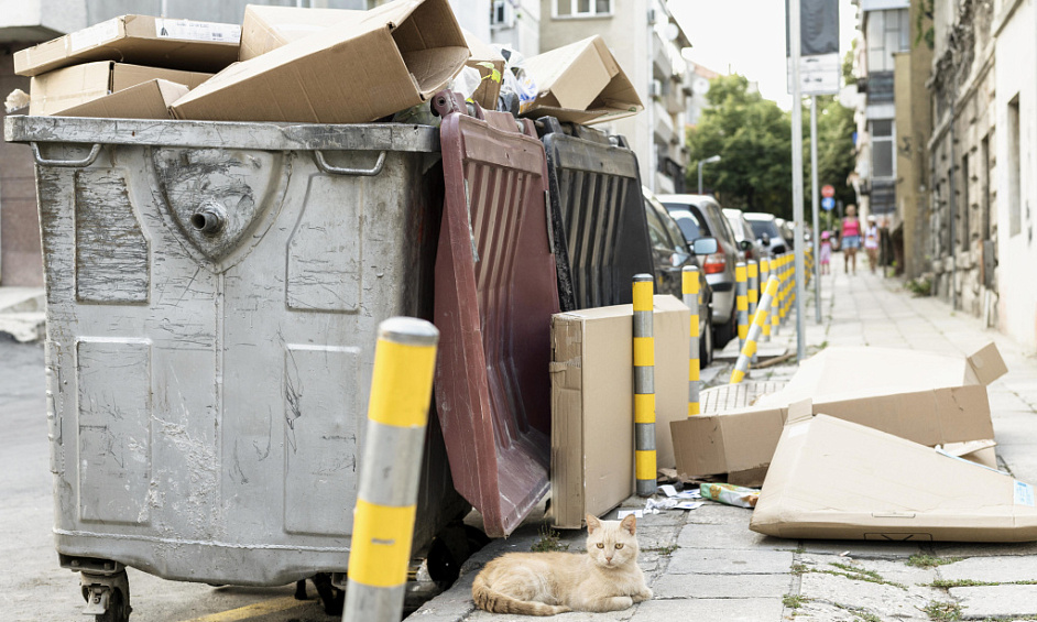 Established Junk Removal Franchise In Winnipeg For Sale 1