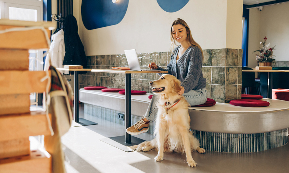 Okotoks Existing Below Cost Prime Location Pet Franchise For Sale 1